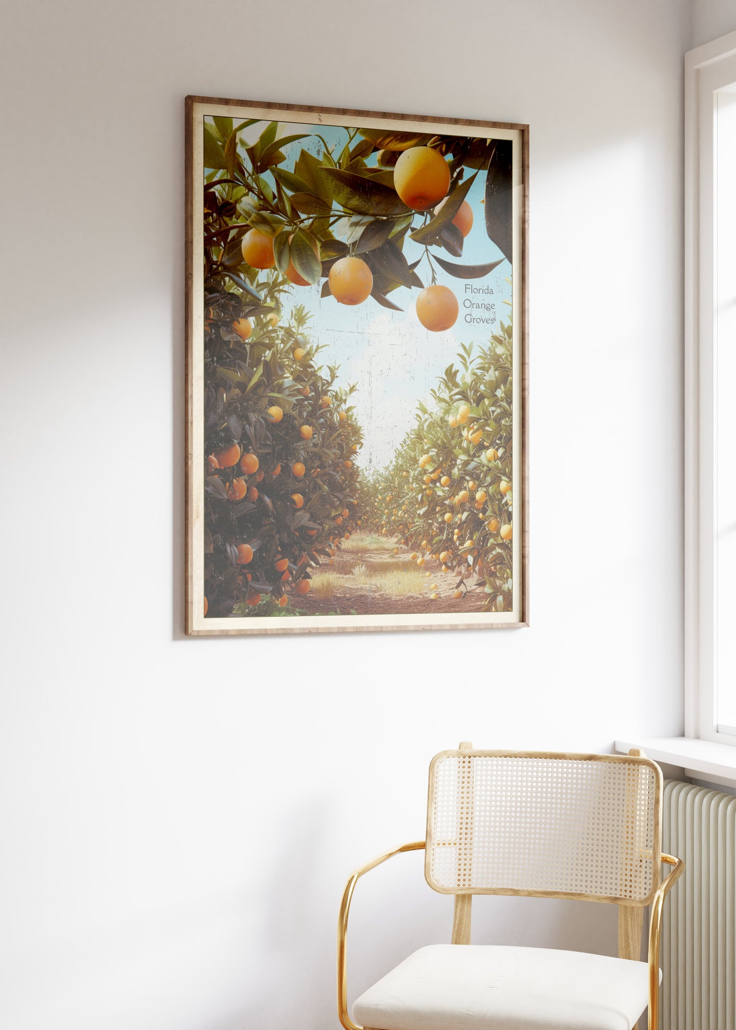 Florida Orange Groves