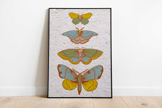 Butterflies Collection Vintage Poster