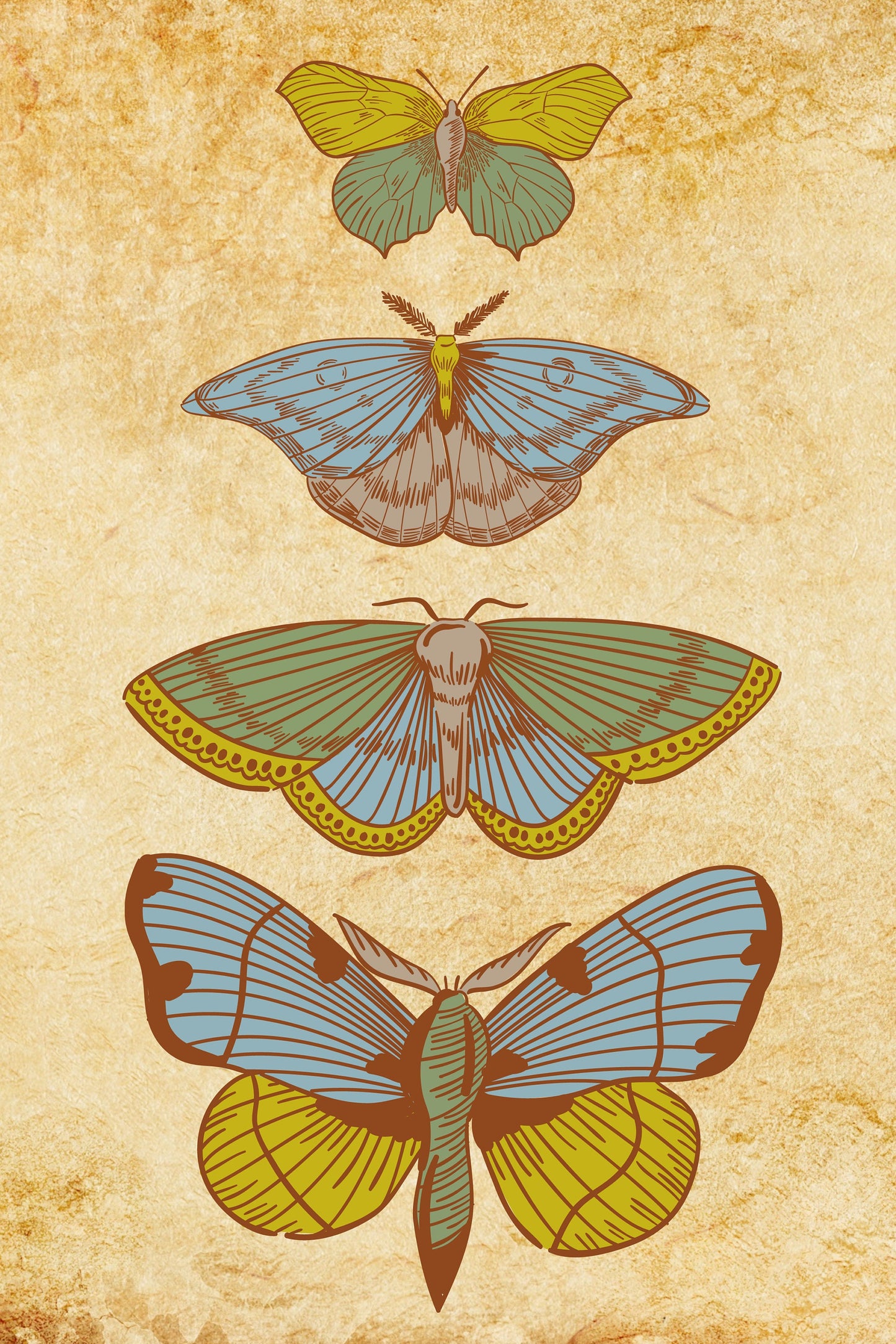 Butterflies Collection Vintage Poster