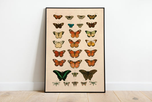 Butterflies Vintage Poster