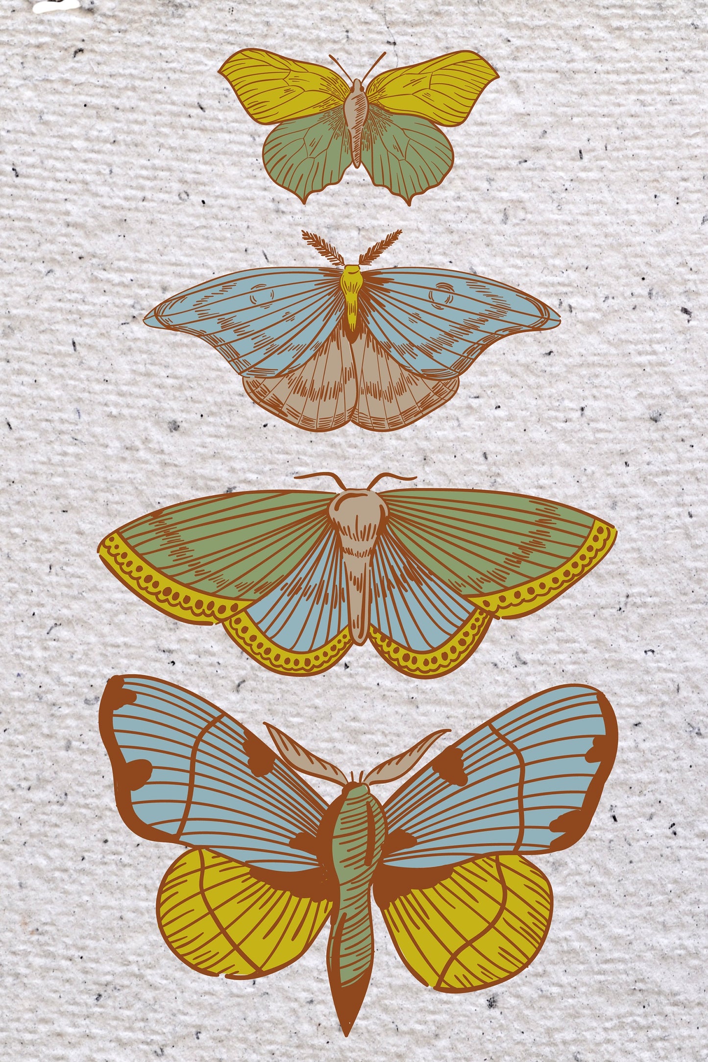 Butterflies Collection Vintage Poster