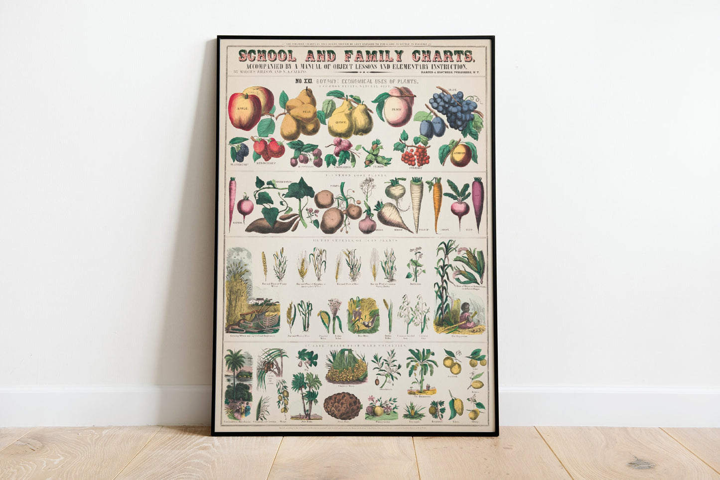 School and Family Charts, (c.1890) Economical Uses OF Plants Vintage Poster