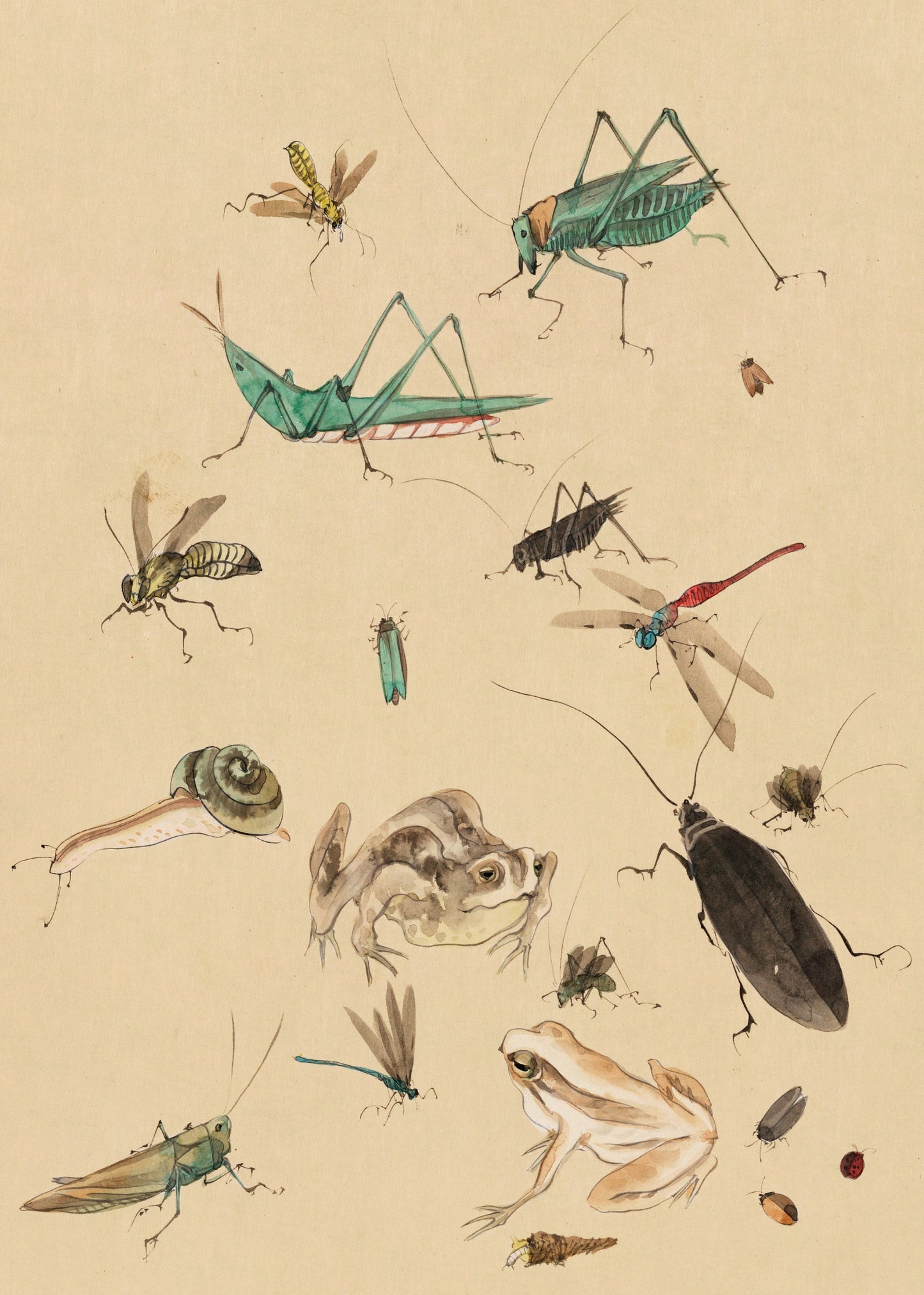 Japanese Insects Vintage Poster Print