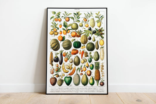 Vegetable Fruit Garden Vintage Poster