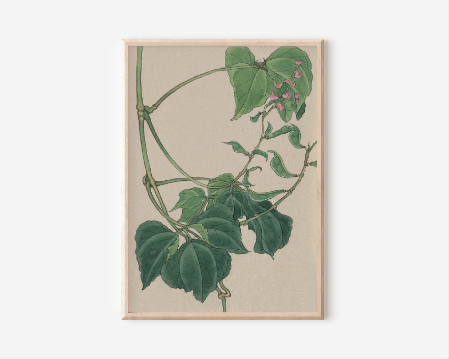 Japanese Plants And Frog Vintage Poster