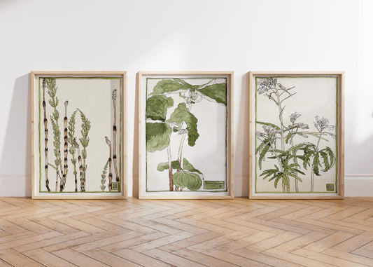 Set of 3 Vintage Botanical Poster, Hannah Borger Overbeck Art