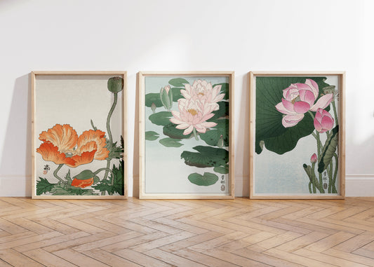 Hannah Overbeck Set of 3 Vintage Botanical Poster