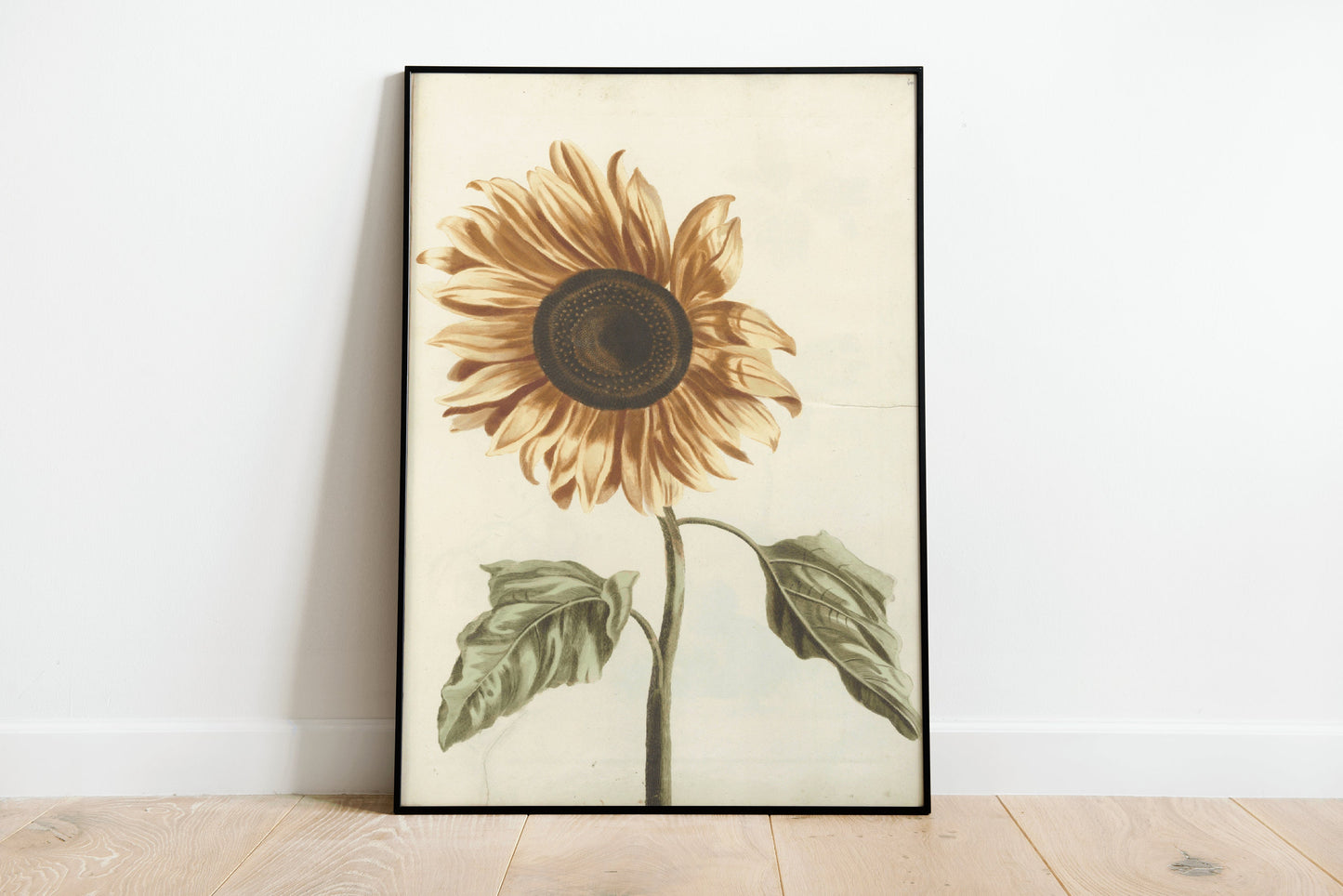 Japanese Sunflower Vintage Poster