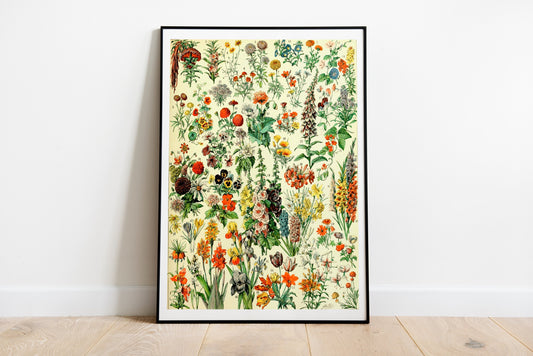 Vintage Flowers Drawing by Adolphe Millot