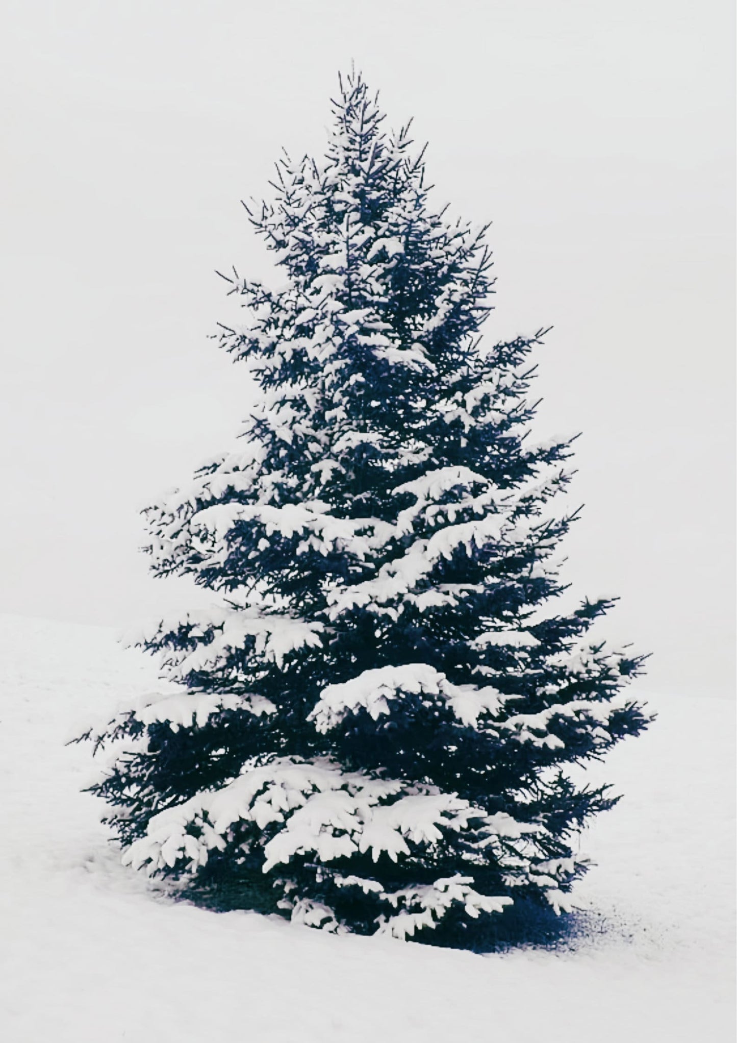 Vintage Christmas Tree Poster