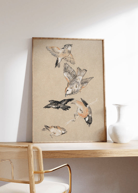 Birds: Finches Drawing Vintage Poster