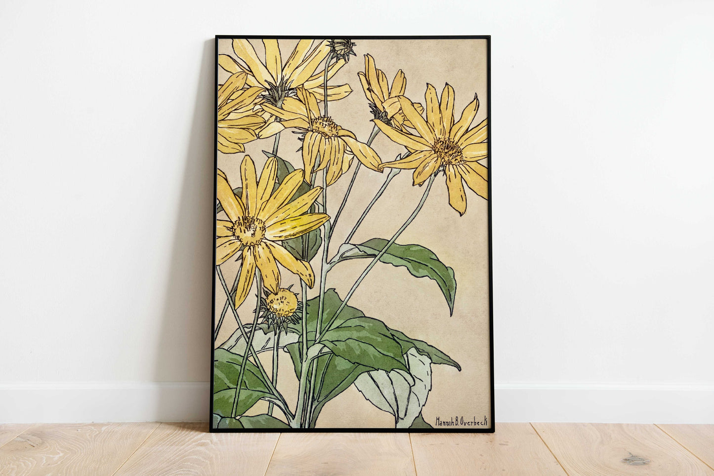 Set of 3 Vintage Sunflower Poster