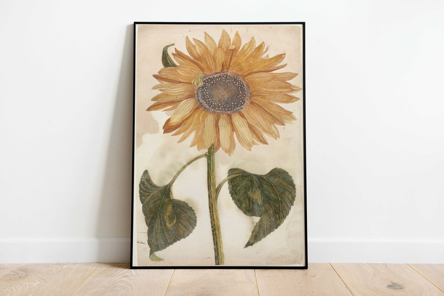 Set of 3 Vintage Sunflower Poster