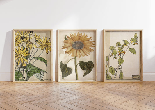 Set of 3 Vintage Sunflower Poster