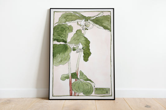 Hannah Borger Overbeck Floral Vintage Poster Print