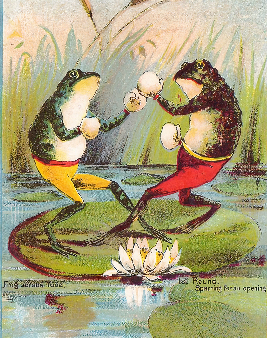 Frog vs Toad, Funny Boxing Fight Poster