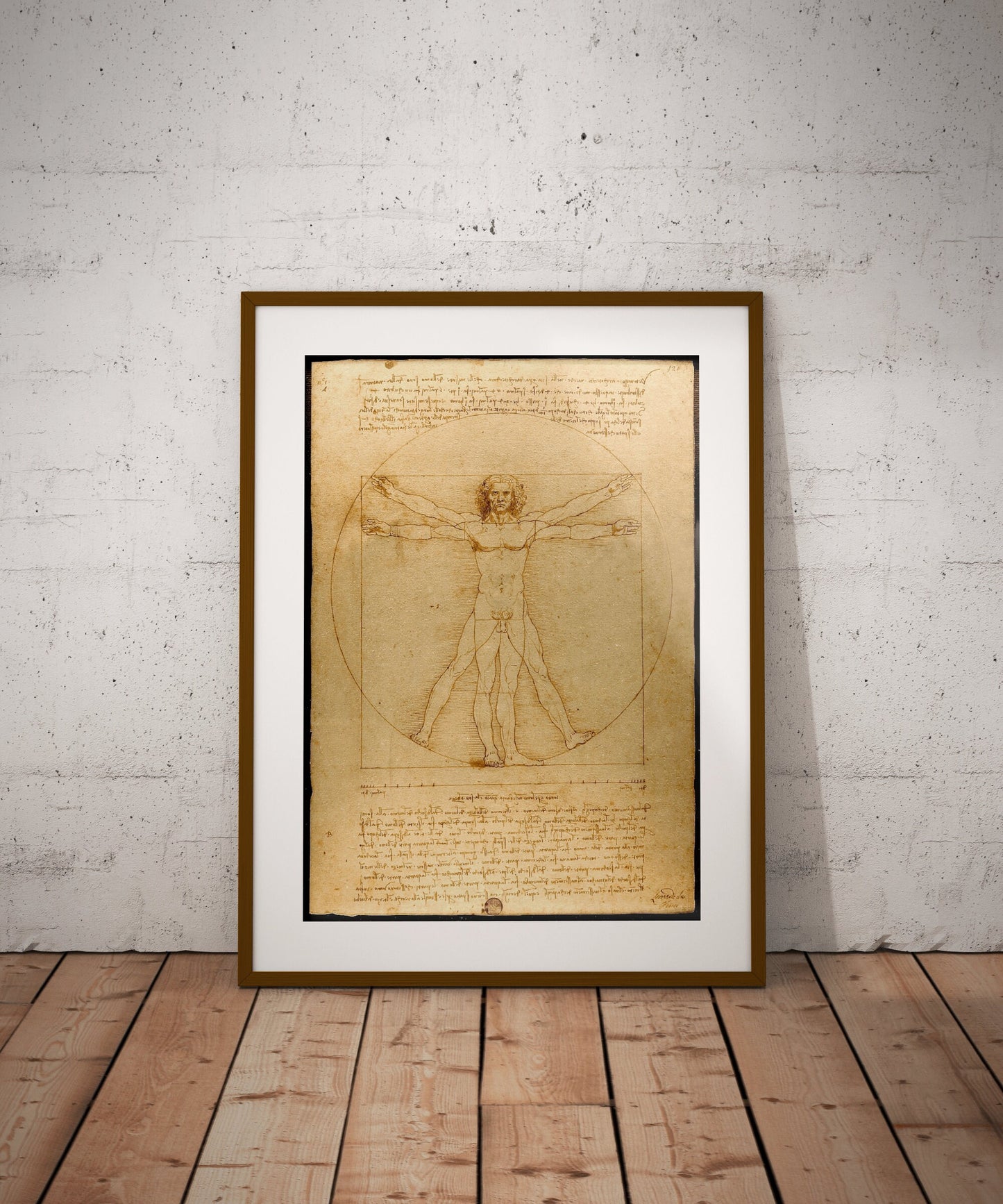 Vitruvian Man Vintage Print