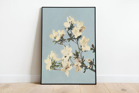 Vintage Japanese Azaleas Illustration Poster