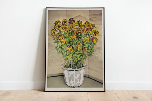 Vintage Japanese Chrysanthemum Illustration Poster