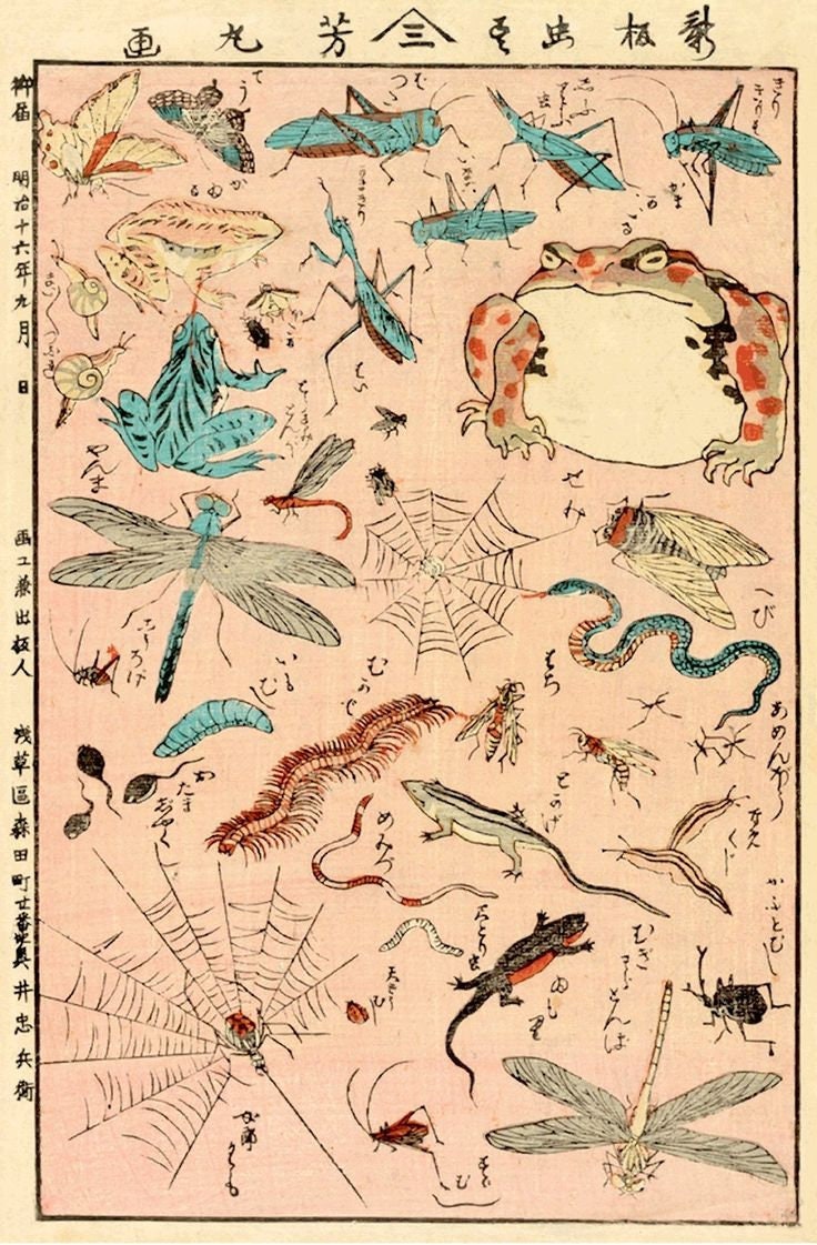 Japanesse Frog And Insects Poster, Art Deco