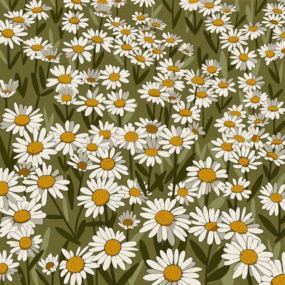 Daisy Fields Poster Print