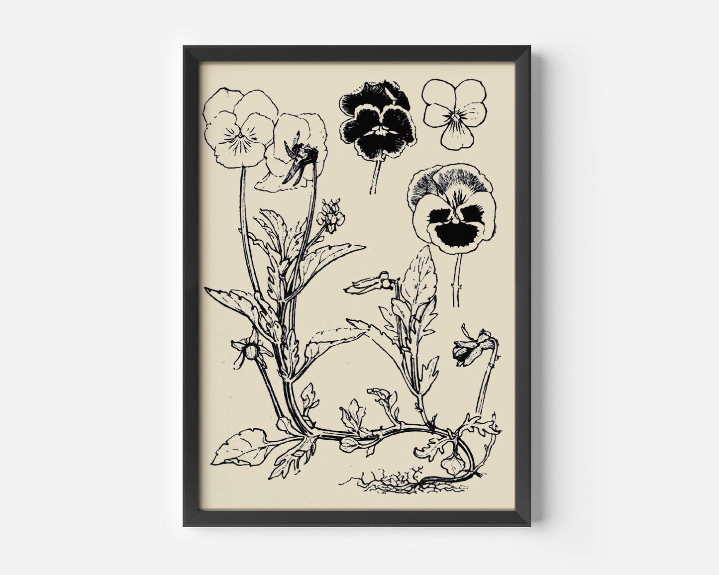 Black Flowers, Black Floral Poster