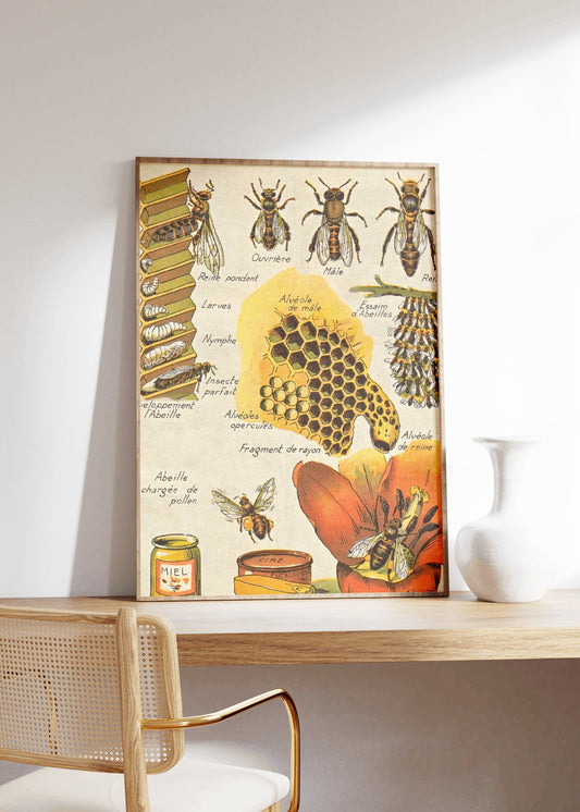 Vintage French Bee Print, Honey Print