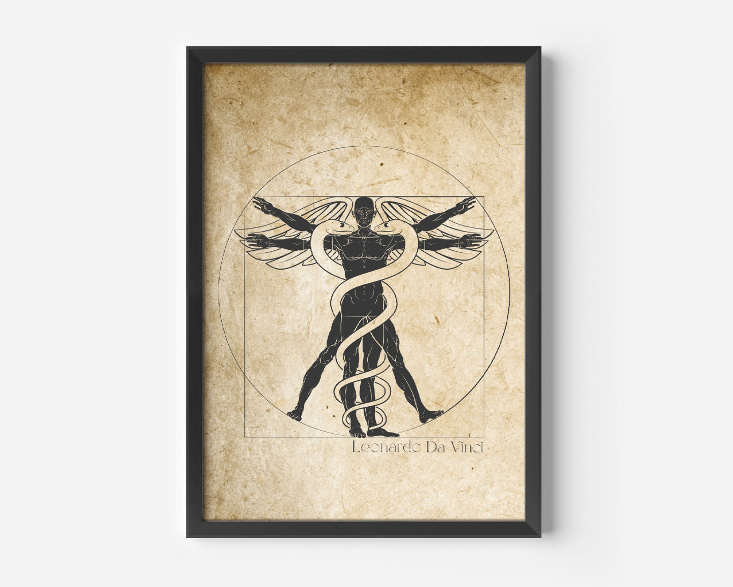 Vitruvian Man Vintage Print