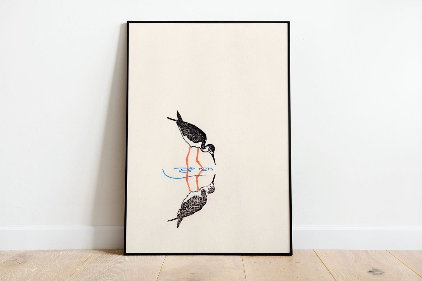 Black-necked Stilt Vintage illustration Poster