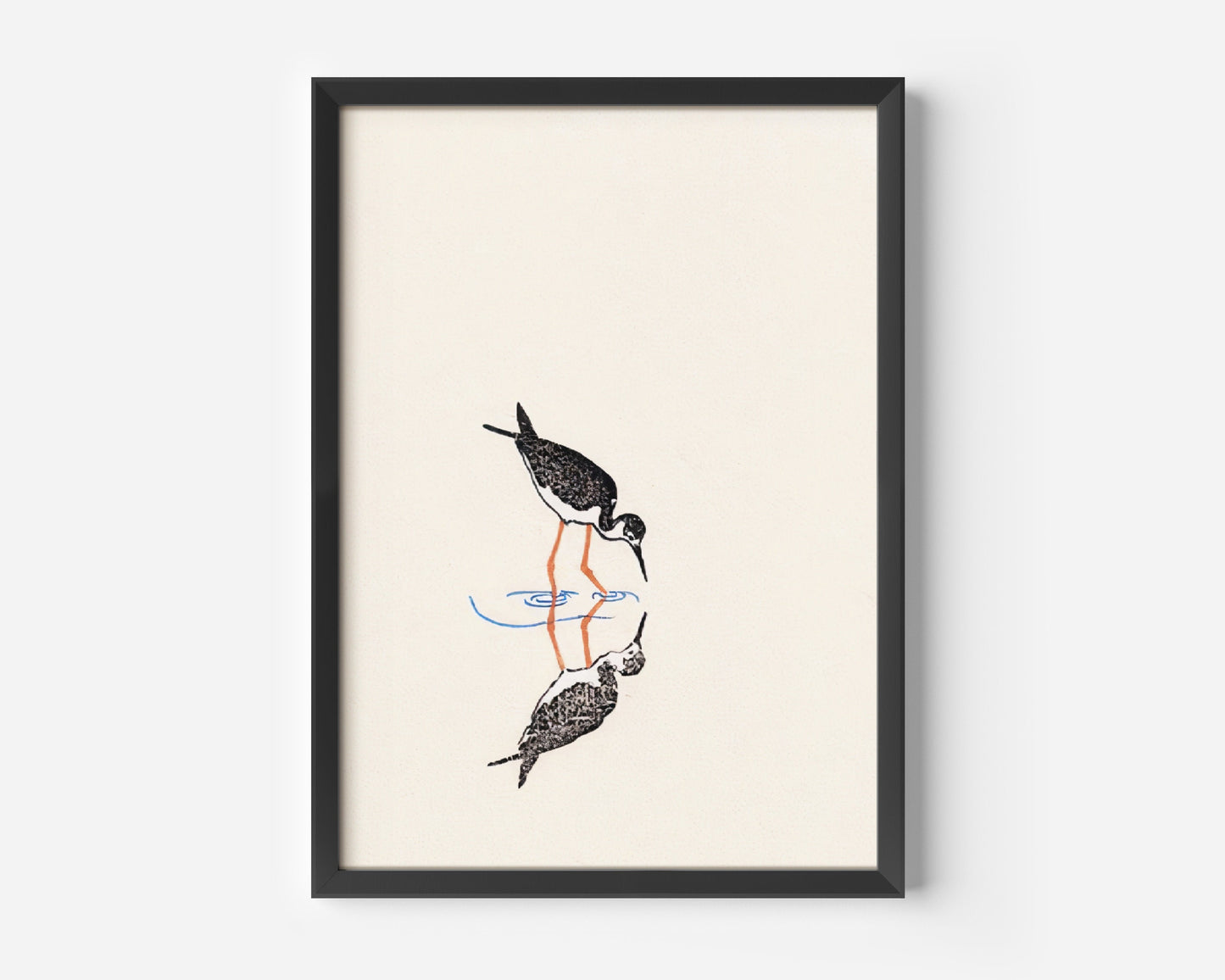 Black-necked Stilt Vintage illustration Poster