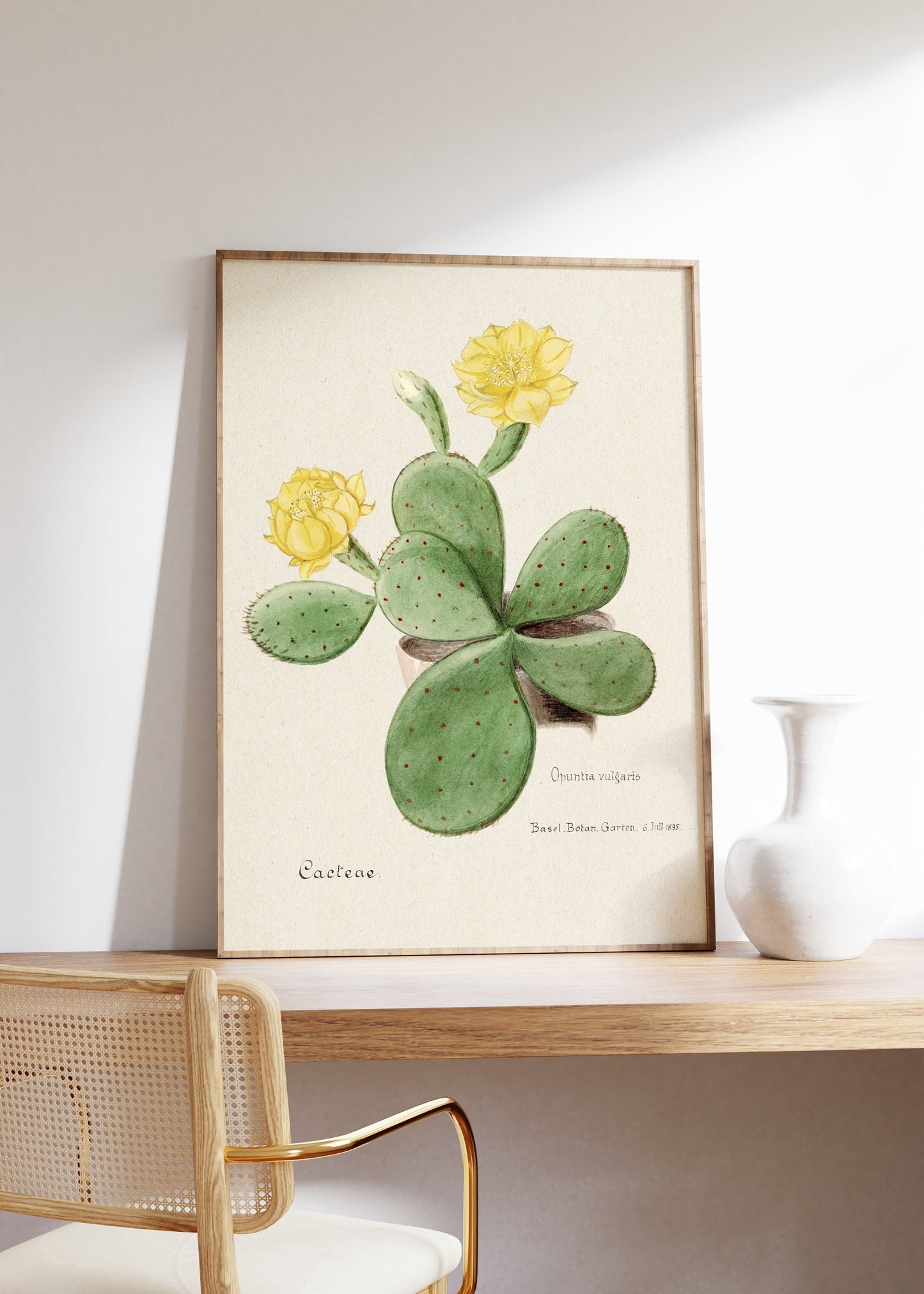 Eastern Prickly Pear Cactus Poster Print