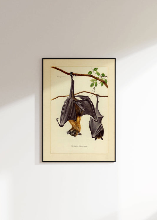 Vintage bat Poster