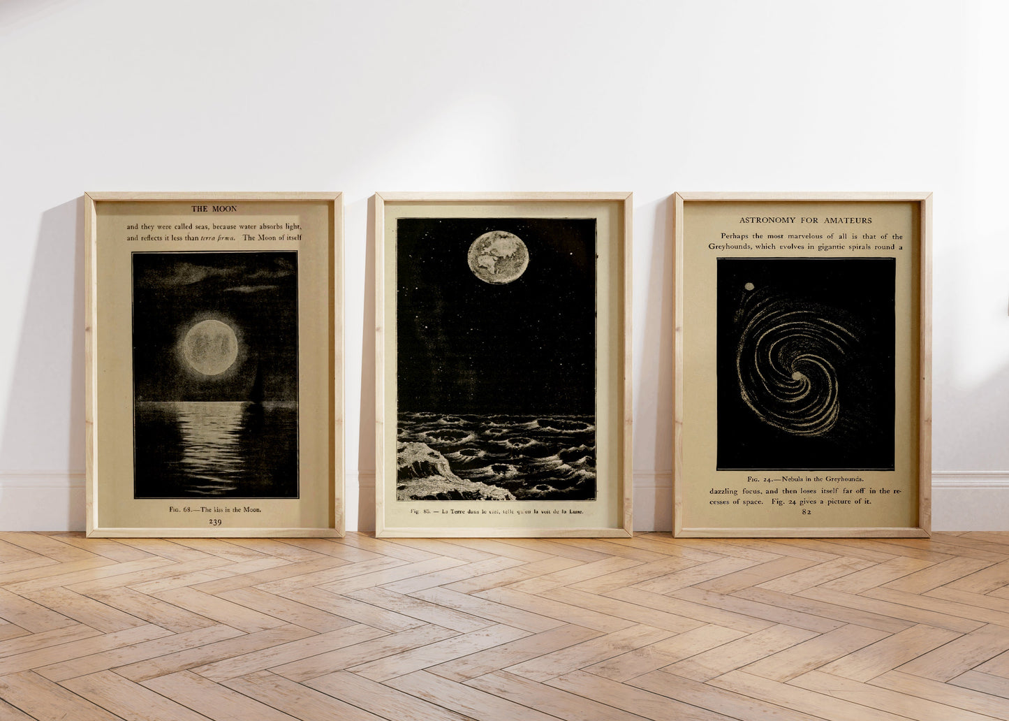 Set Of 3 Vintage Astronomy Book Print, Moon Poster