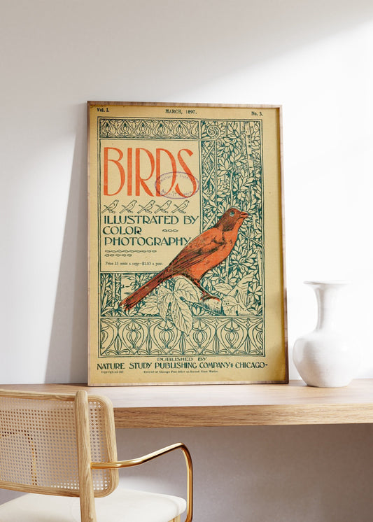 Vintage Birds Book Print, Birds Poster, Soft Color Swallow Wall Art, Bird Poster, Animal Wall Art, Room Decor, Nature Print, Illustration