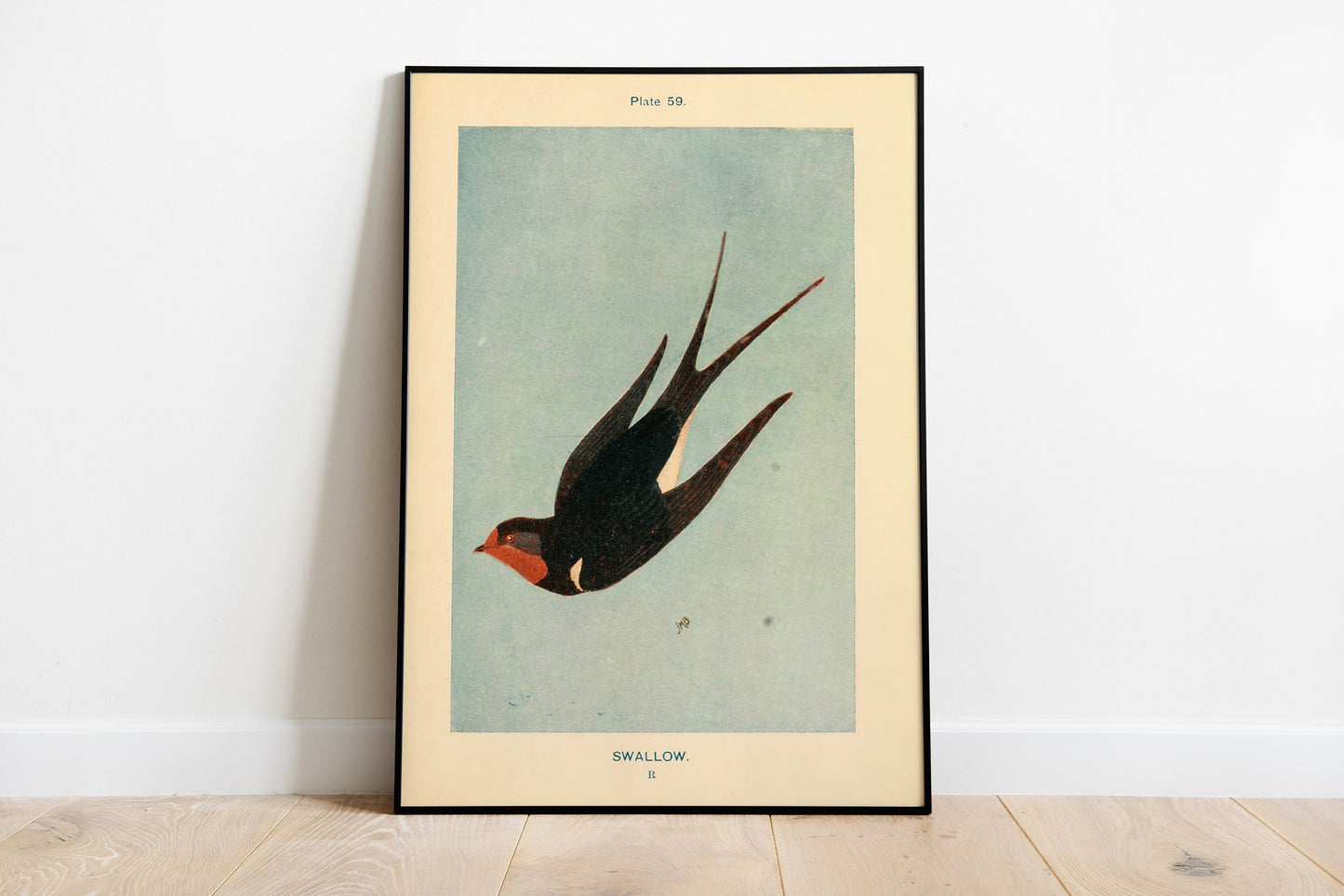 Set Of 3 Vintage Swallow Print, Birds Poster Set