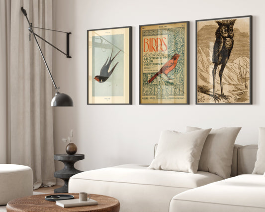 Set Of 3 Vintage Swallow Print, Birds Poster Set