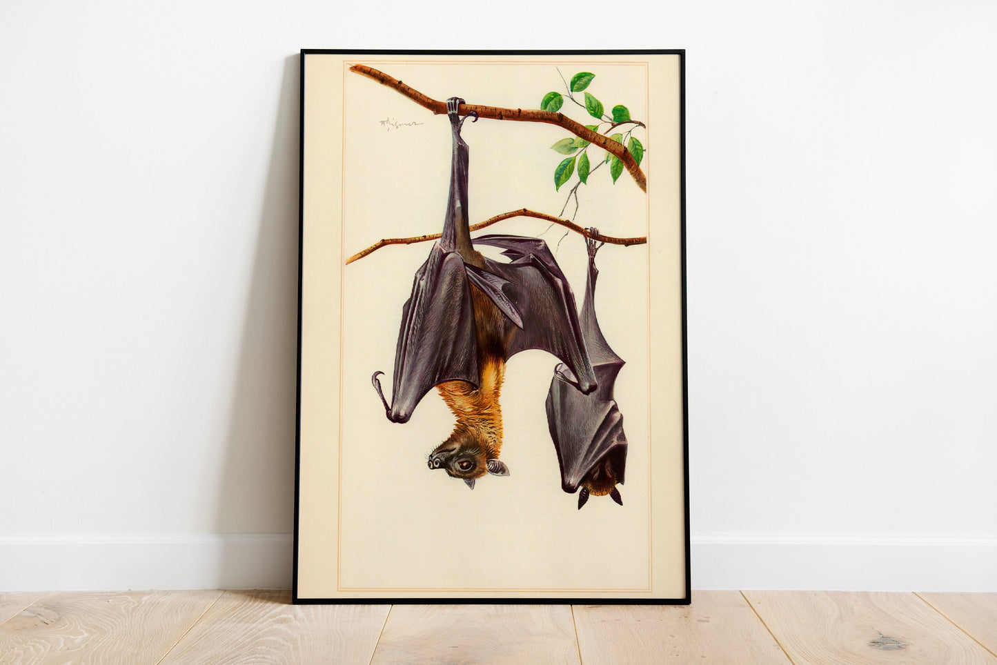 Set Of 3 Vintage Swallow Print, Birds Poster Set