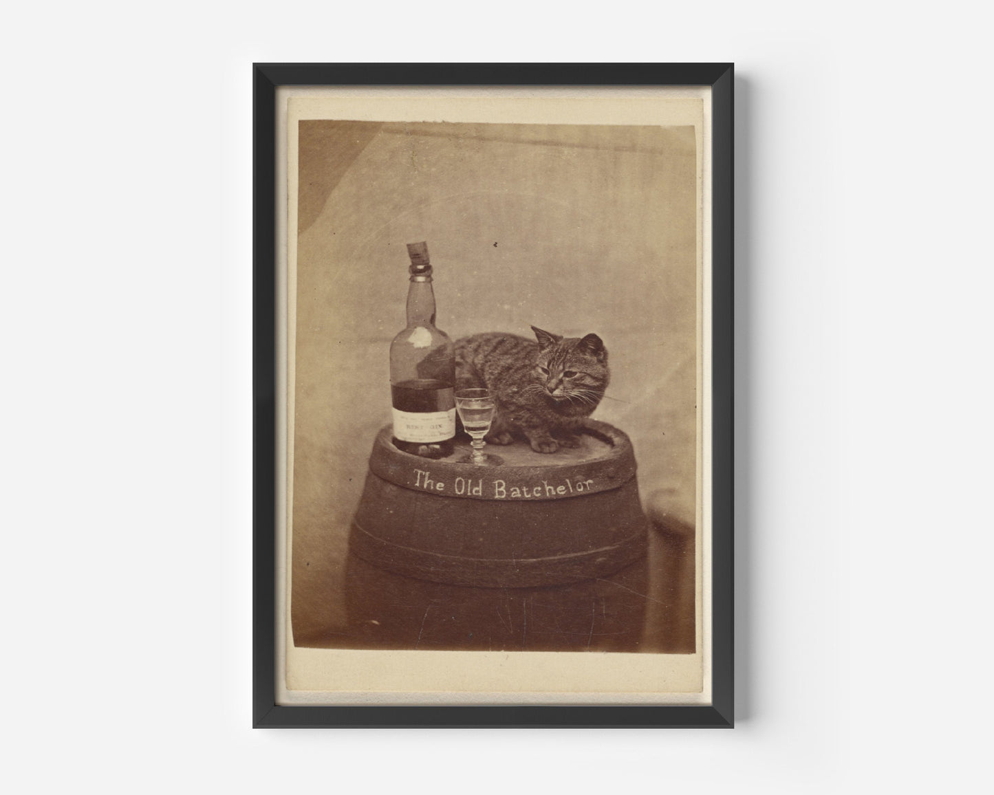 Funny Cat Alcohol Bar Poster