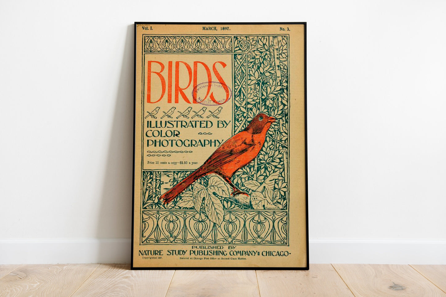 Set Of 3 Vintage Swallow Print, Birds Poster Set