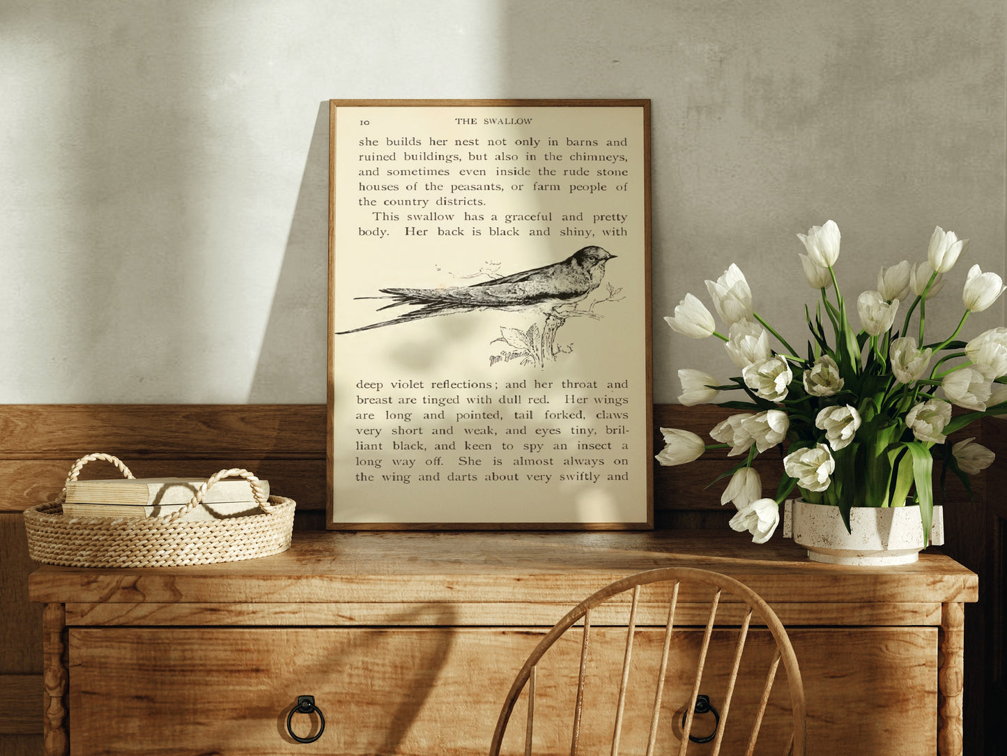 Vintage Swallow Book Print, Birds Poster