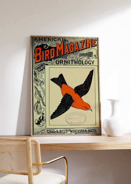 Vintage Birds Book Print, Birds Poster