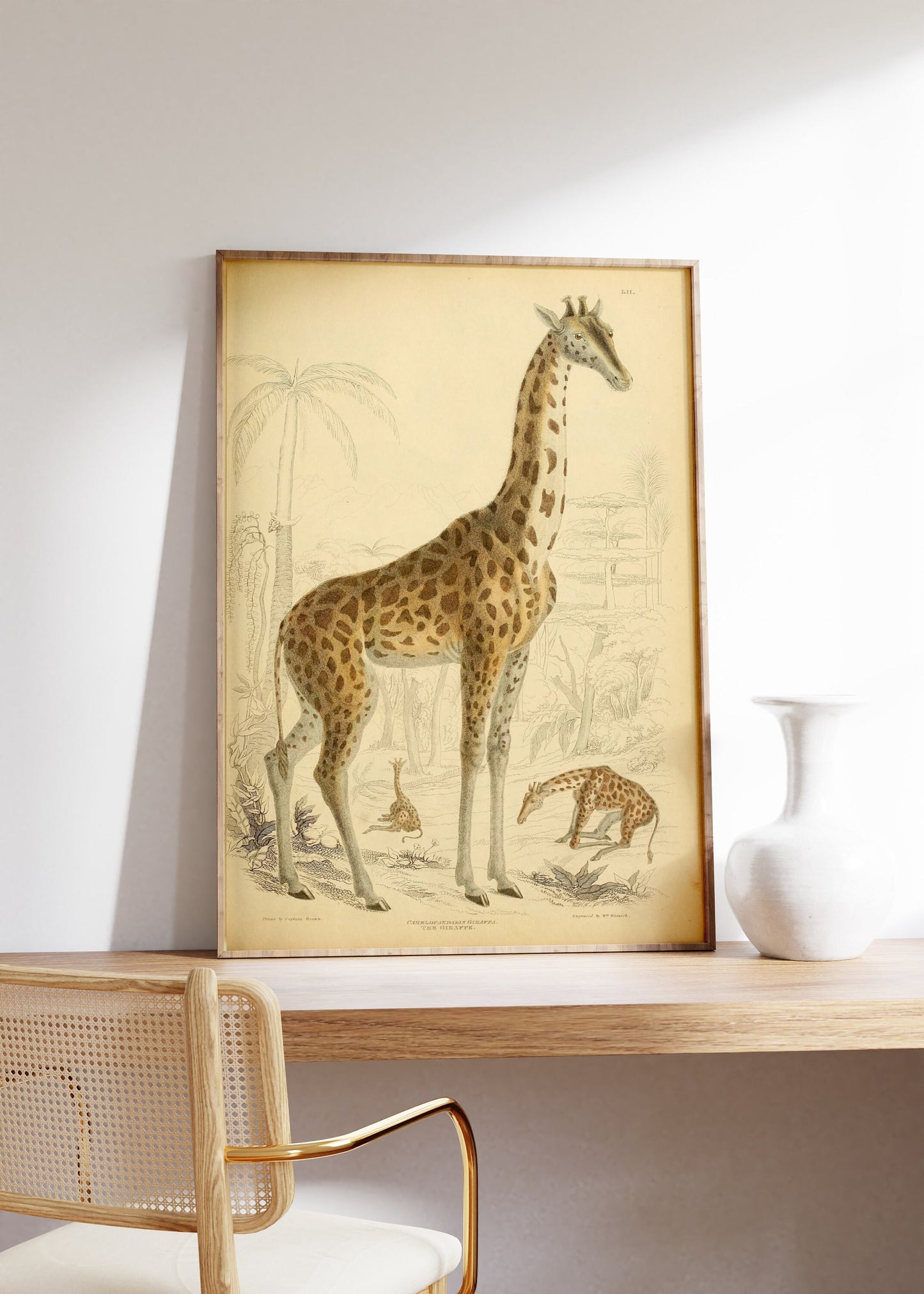 Vintage Giraffe Illustration Print, Giraffe Poster