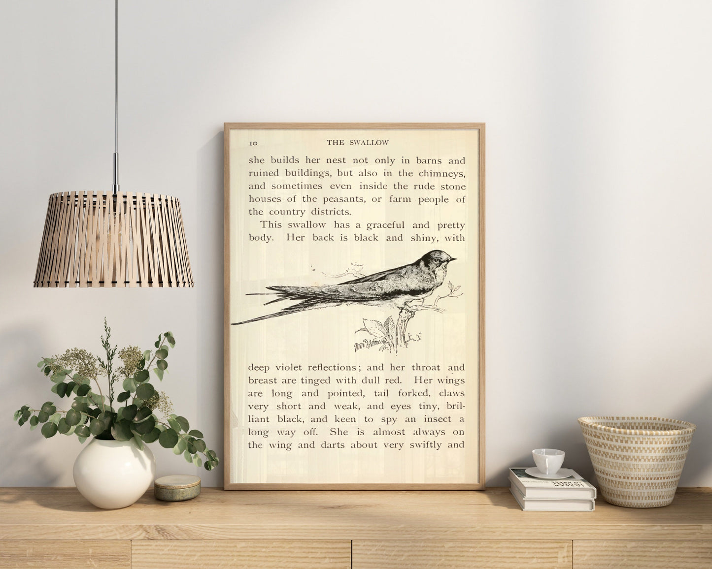 Vintage Swallow Book Print, Birds Poster