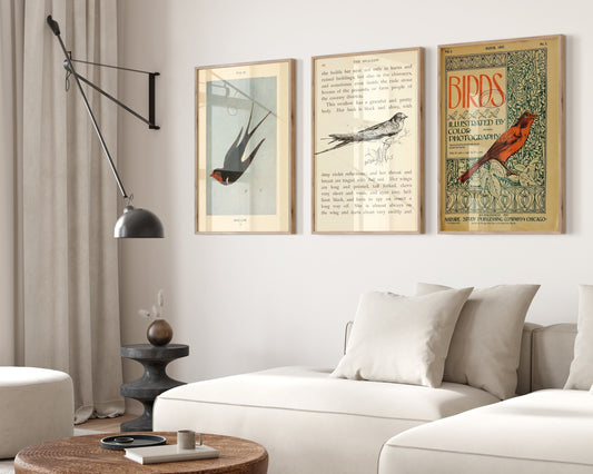 Set of 3 Swallow Posters, Birds Poster