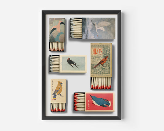 Vintage Bird Matchbox Collage Poster