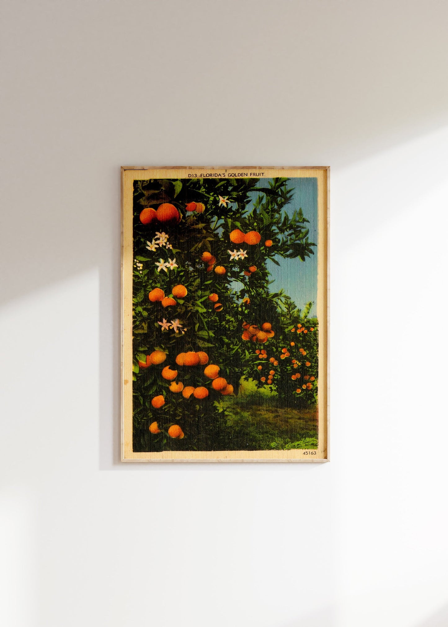 Vintage Florida Orange Grove Poster