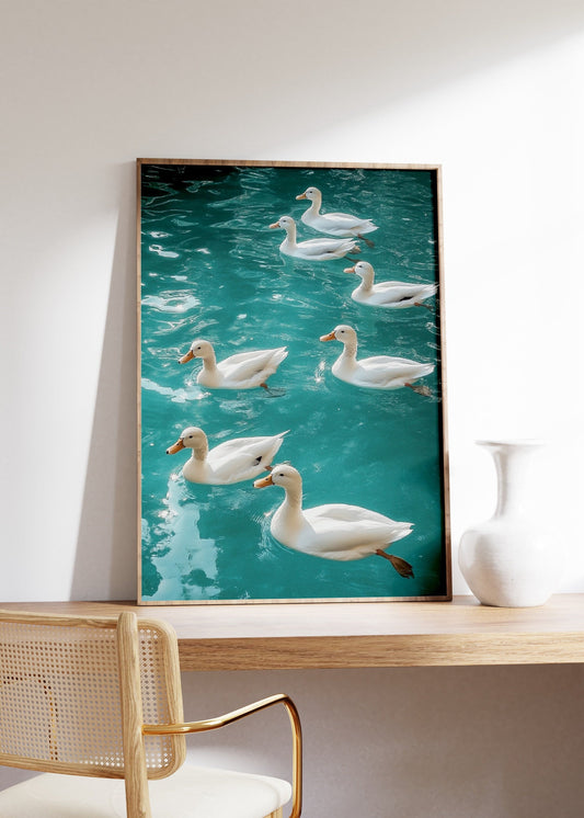 Cute Ducks Swimming in Crystal Water Poster